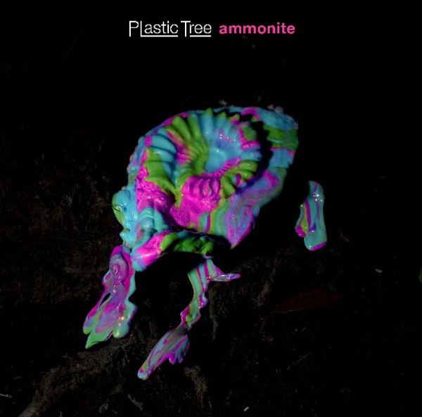 Ammonite